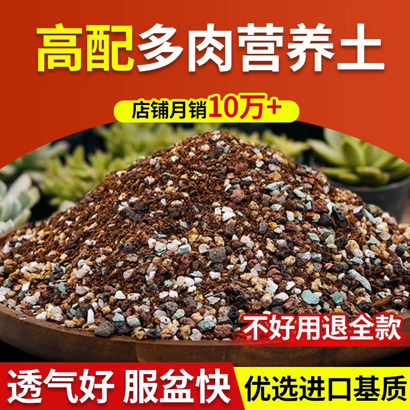 多肉颗粒土专用营养土植物泥炭种植土壤肉肉叶插小苗老桩颗粒花土