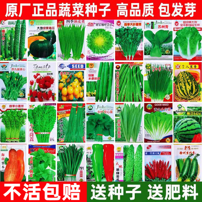 【不活包赔】四季蔬菜种子大全