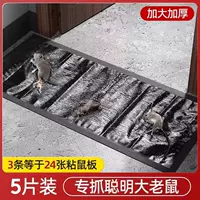 [5 наряд немецкой магии Seiko] 1,2 м увеличивает утолщенную стелс -версию