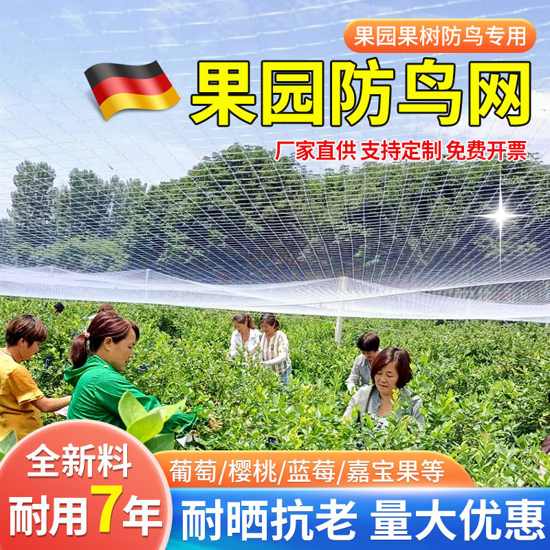 德国防鸟用网果园果树防鸟网樱桃尼龙线网养殖网葡萄鱼塘户外大棚