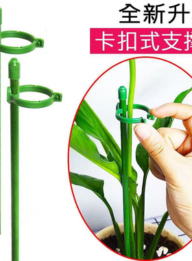 植物支撑杆兰花护叶枝龟背竹海芋专用园艺扶持架花卉防倒伏固定器
