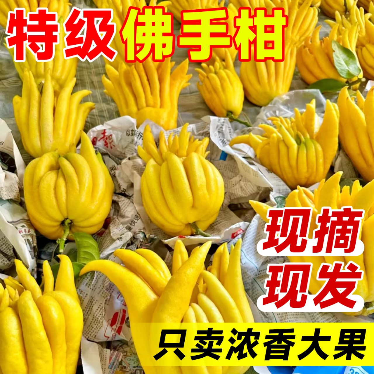 佛手柑鲜果新鲜佛手瓜切带枝室内摆件清供观赏闻香可食用花卉盆栽