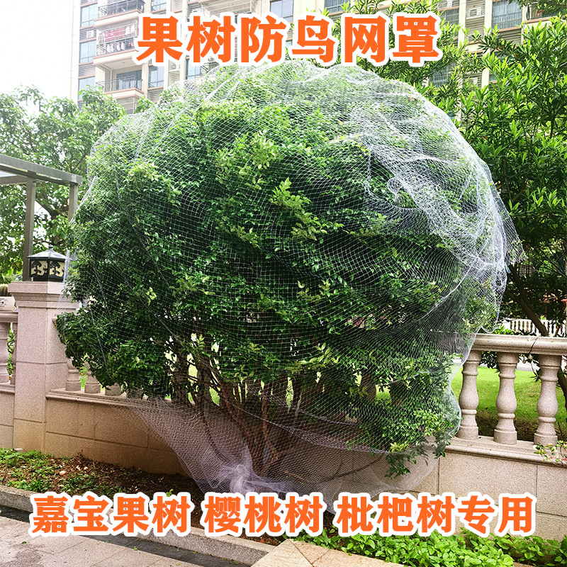 果树防鸟网罩樱桃嘉宝用尼