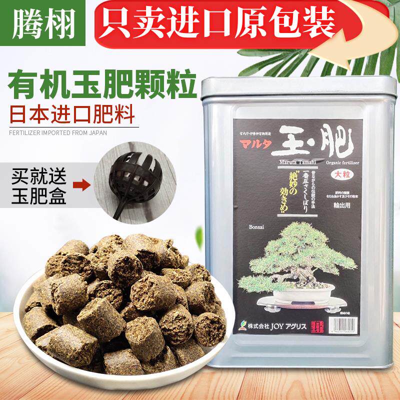 日本原装进口玉肥盆景松柏金撢子专用长效有机缓释肥颗粒花肥肥料