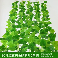 90 листьев над клеем чистые листья зеленых листьев