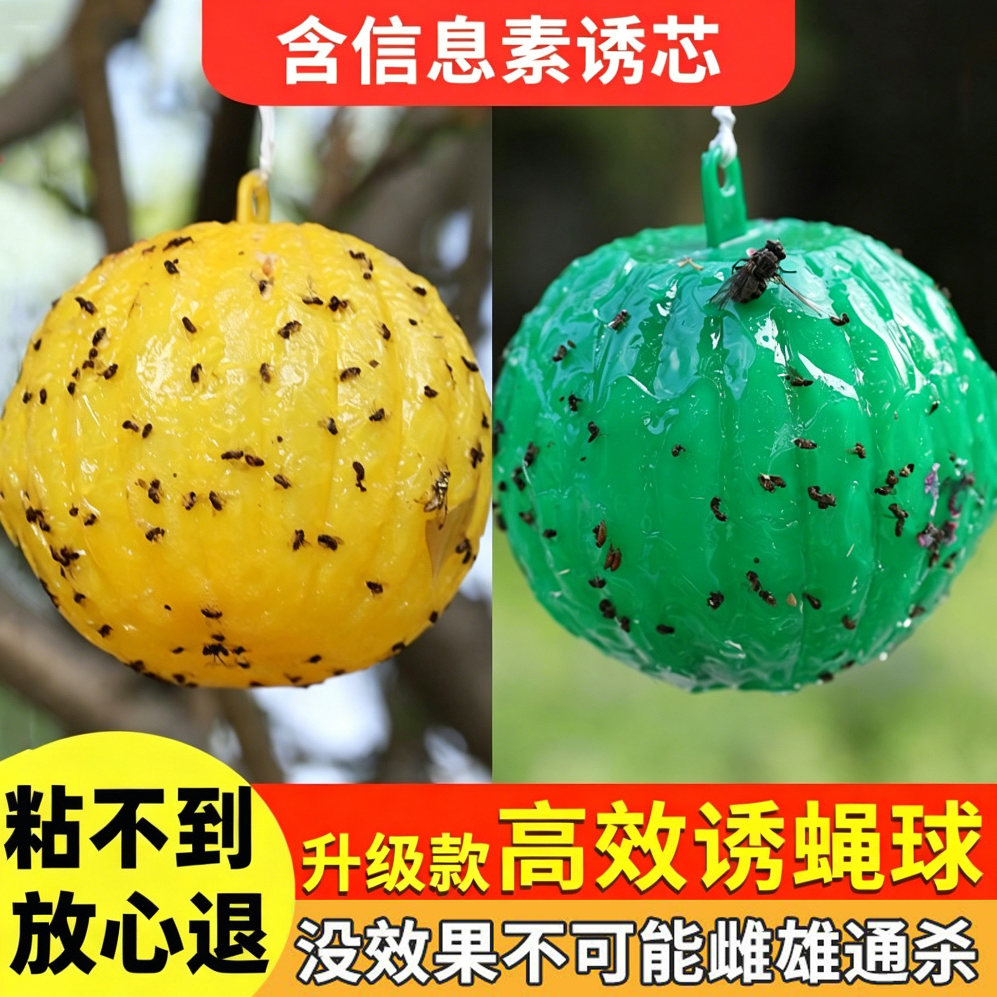 粘虫球小飞虫灭杀神器果蝇诱捕器蚊虫趋捕室外杀虫强力菜园果树