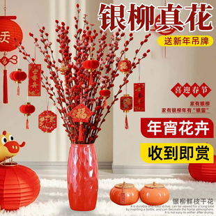 银柳真花鲜枝客厅摆件红色年宵花花卉干花干枝盆栽抱抱桶水培植物