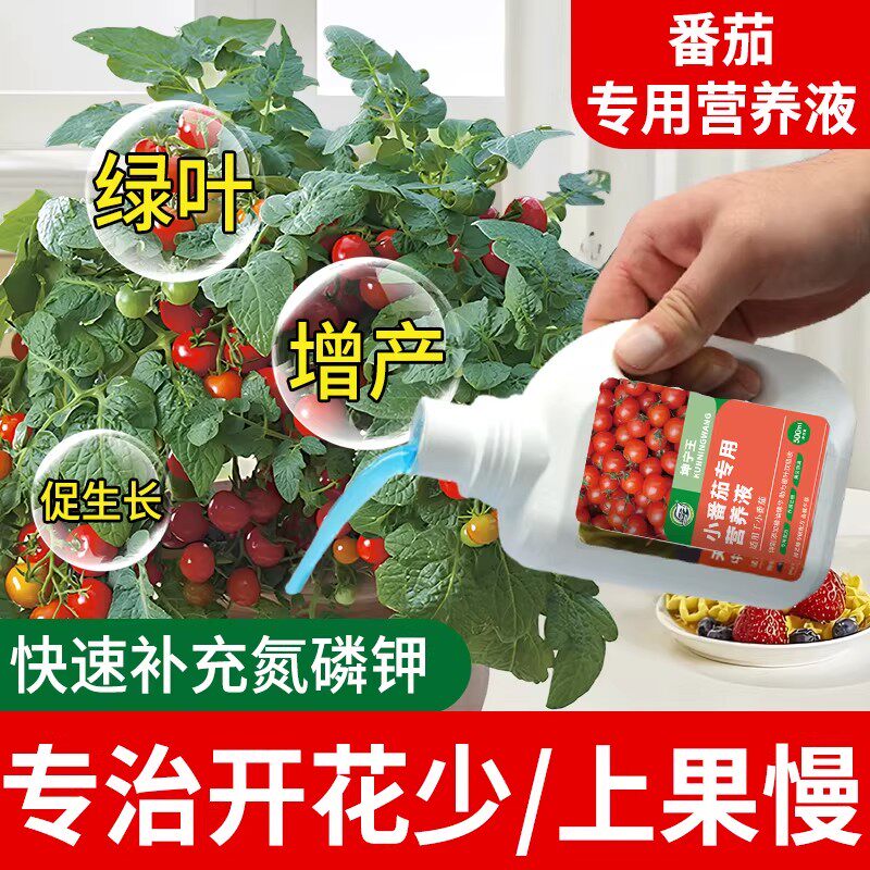 小番茄肥料专用营养液番茄圣女果肥料有机盆栽番茄专用水溶肥