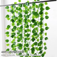 48 листьев над связью прозрачная зеленая петля 5