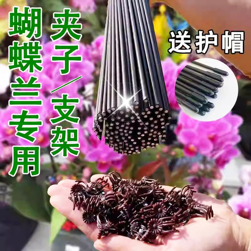 蝴蝶兰花支架兰夹子支撑杆植物爬藤花卉弯曲固定专用铁丝支架园艺