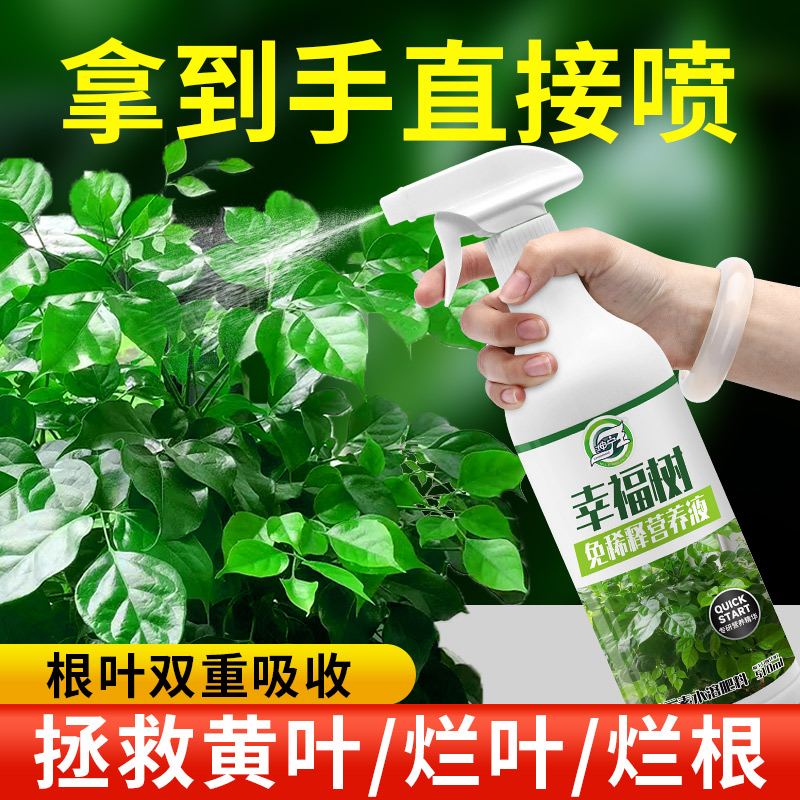 免稀释幸福树肥料专用肥料营养剂