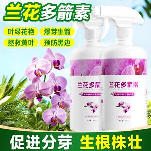 兰花多箭素兰灵王蝴蝶兰蕙兰爆芽素多剑王生根发芽开花专用营养液