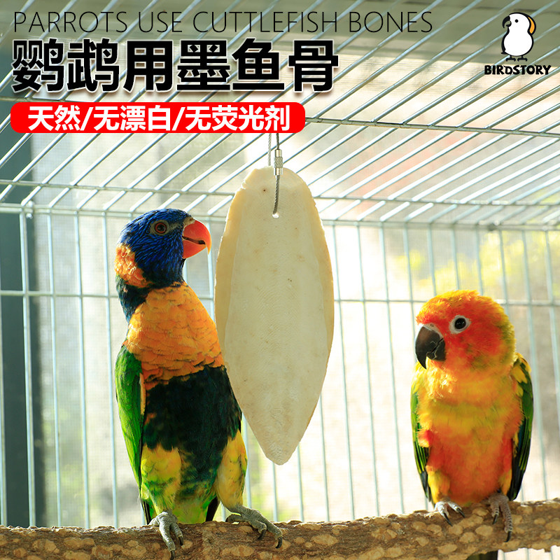 鹦鹉专用墨鱼骨牡丹虎皮鸟用磨嘴磨牙棒啃咬互动玩具零食用品大全