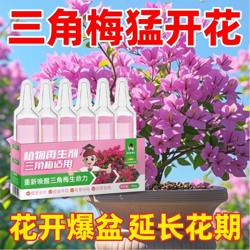 三角梅营养液再生剂盆栽家庭花卉爆花枝繁叶茂催花促花开花液通用