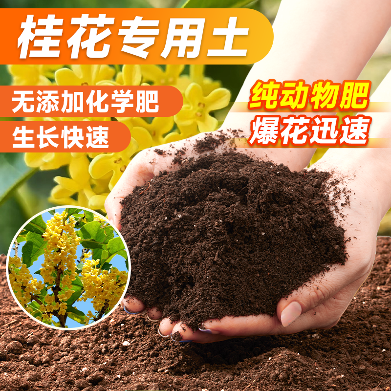 养桂花专用土营养土盆栽土肥料