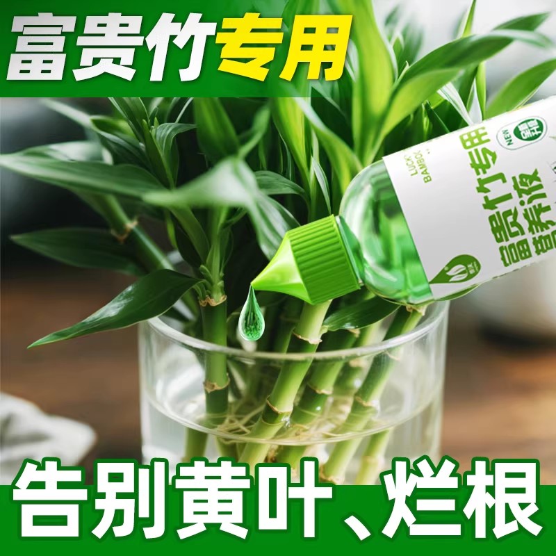 水培富贵竹营养液植物专用肥料水培通用型治黄叶促生根土培节节高
