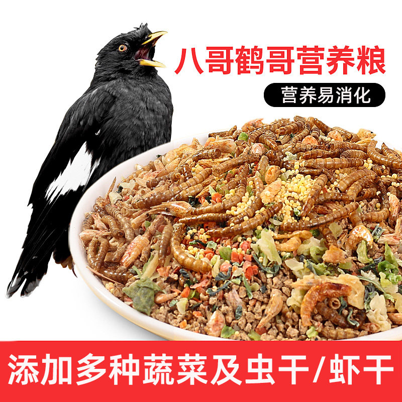 八哥专用鸟粮饲料鸟料八哥鹩哥饲料鸟粮饲料营养鹩哥鸟食五色黍子