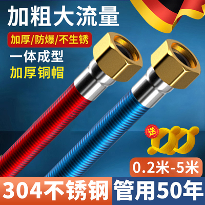 德国304不锈钢波纹管燃气热水器