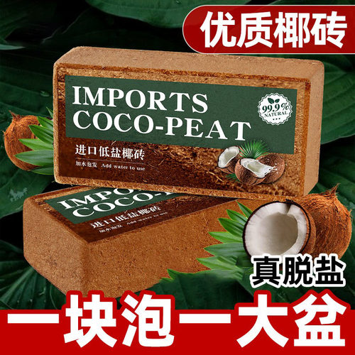南亚椰砖营养土乌龟冬眠专用爬宠脱盐椰土仓鼠垫材寄居蟹保温爬虫