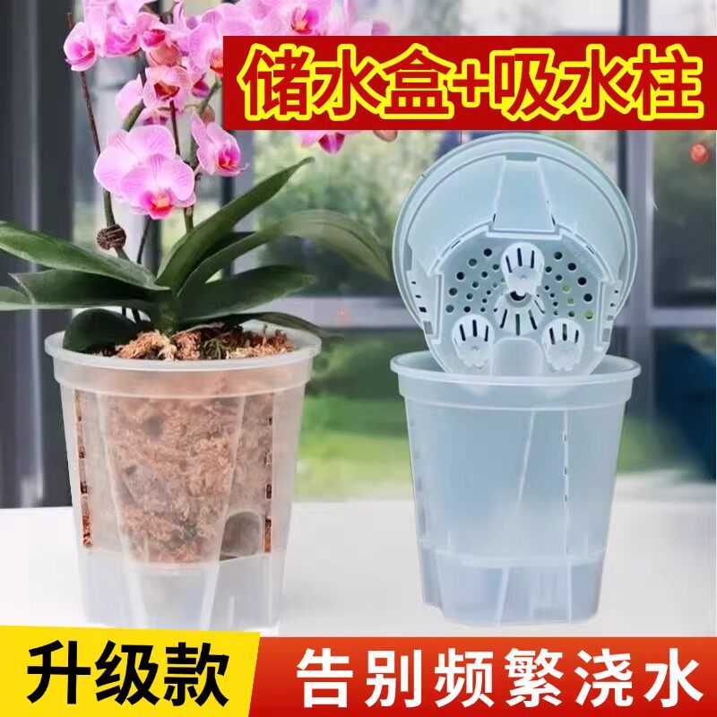 蝴蝶兰花盆专用懒人盆储水自吸水透明控根透气兰花石斛用绿植塑料
