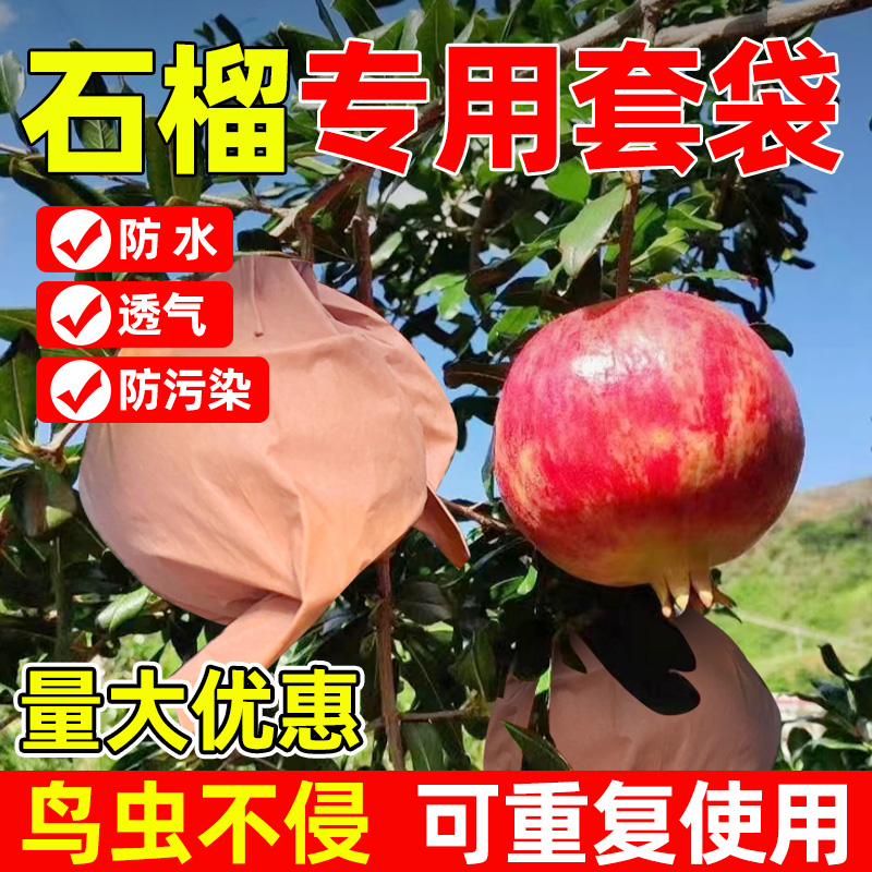 水果套袋石榴网袋防虫防鸟神器防水透气果袋植物果树保护专用苹果