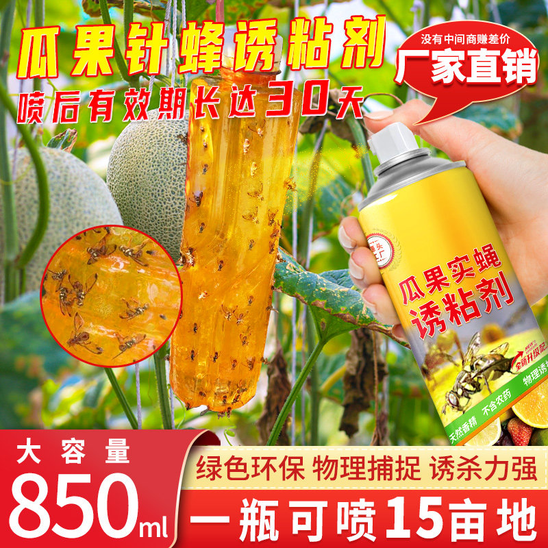 德国瓜果实蝇针蜂诱粘剂杀昆虫诱捕剂果蝇针蜂药引诱剂果蝇诱捕器