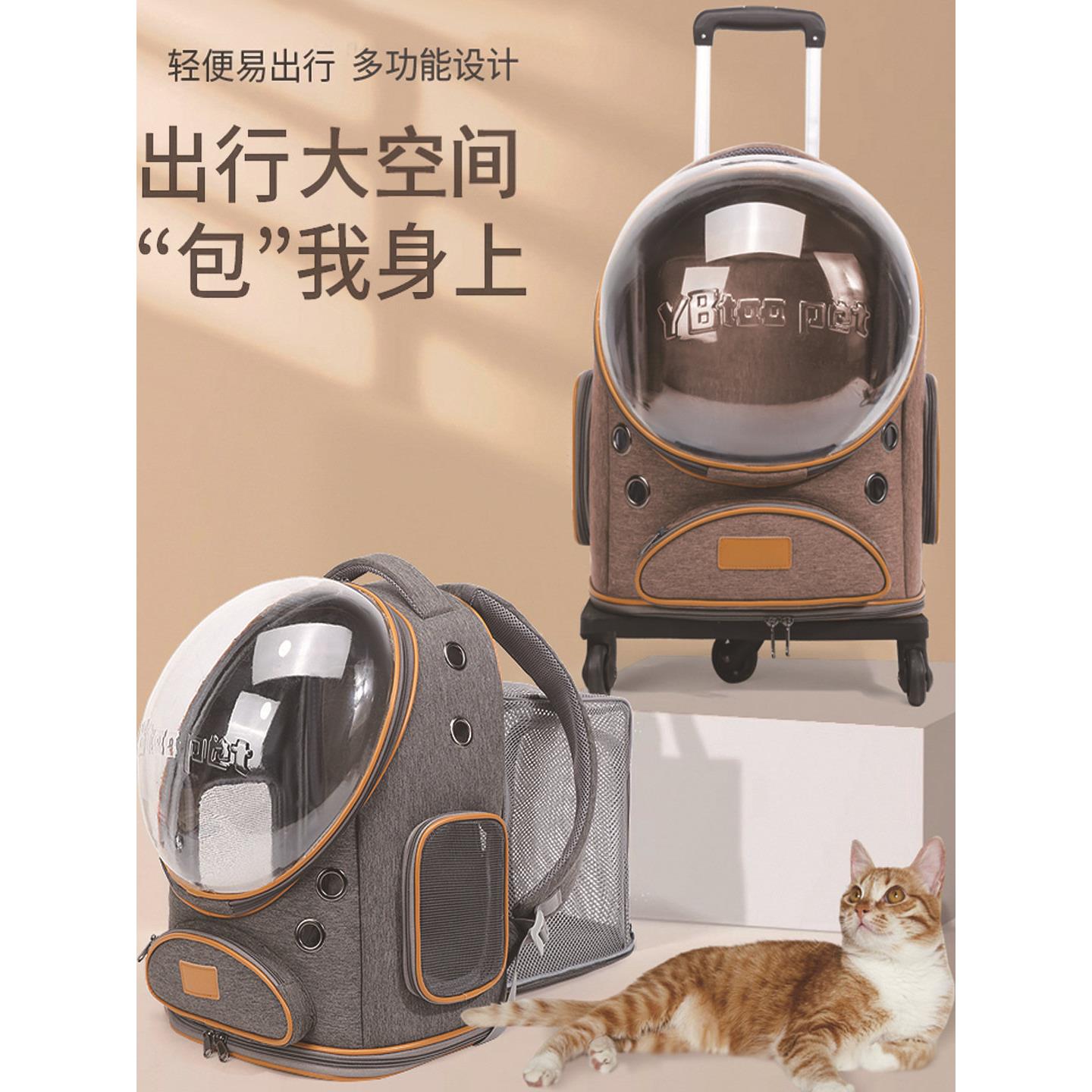 新款宠物外出包太空舱猫包小型犬小狗双肩背包大容量冬季便携包