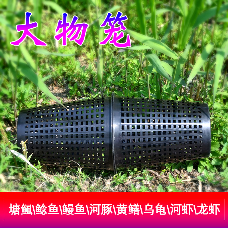 特大号黄鳝笼塘鲺鲶鱼海鳗鱼河豚乌龟小龙虾河虾大鱼大物笼子渔具