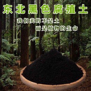 东北黑泥土林下腐殖土纯黑色土瓜果蔬菜养花育苗通用松透气营养土