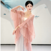 飘逸仙气舞蹈服现代舞女演出服日常防晒衫 古典舞花瓣袖 国风长衫 服