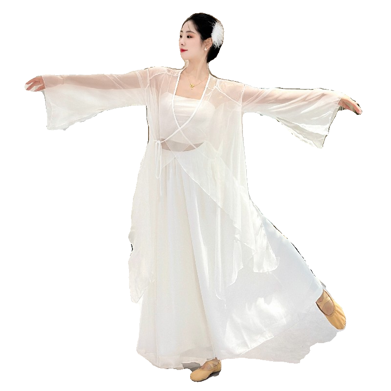 古典舞蹈服女开叉喇叭袖仙气飘逸纱衣练功服现代舞中国舞风演出服