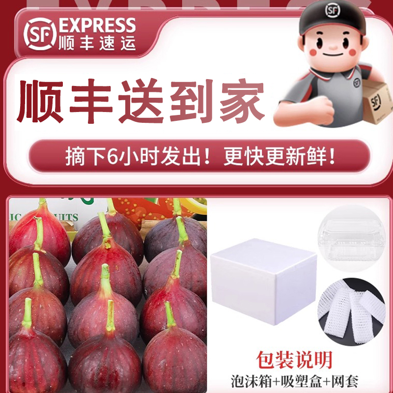红皮无花果鲜果孕妇水果5斤