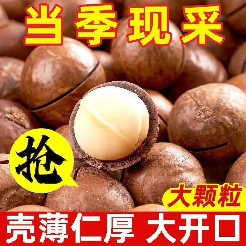 新货特价】正宗大颗粒奶油味夏威夷坚果炒货果干年货丽人膳补