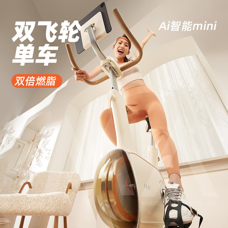 FED动感单车智能家用健身器材运动磁控静音小型室内自行车
