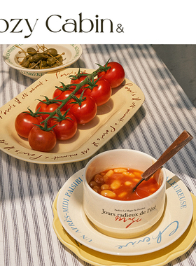 清仓折扣Cozy Cabin&Hotel 827 新品韩国小众复古英文陶瓷杯子盘