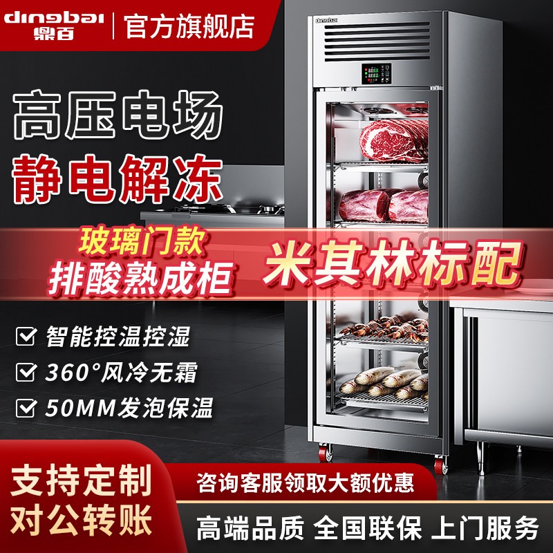 鼎百高压静电解冻柜冷藏