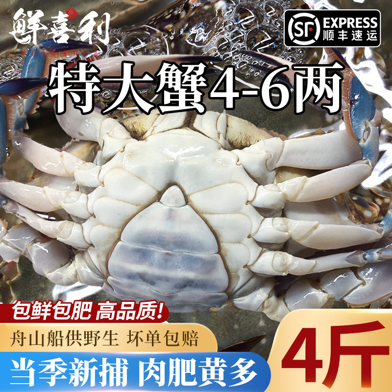 梭子蟹特大母蟹野生舟山大螃蟹新鲜冷冻蟹海飞蟹肉蟹白蟹海鲜顺丰