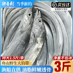 舟山带鱼整条海鲜东海水产新鲜鲜活冷冻小眼海钓油带鱼非刀鱼整箱
