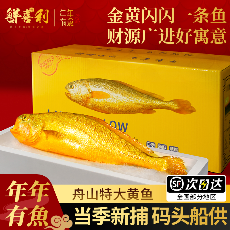 【6条特大1.4斤/条】新捕船供
