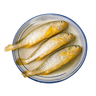 真正舟山小黄鱼新鲜冷冻深海海鲜水产黄花鱼生鲜冰鲜海鱼商用烧烤
