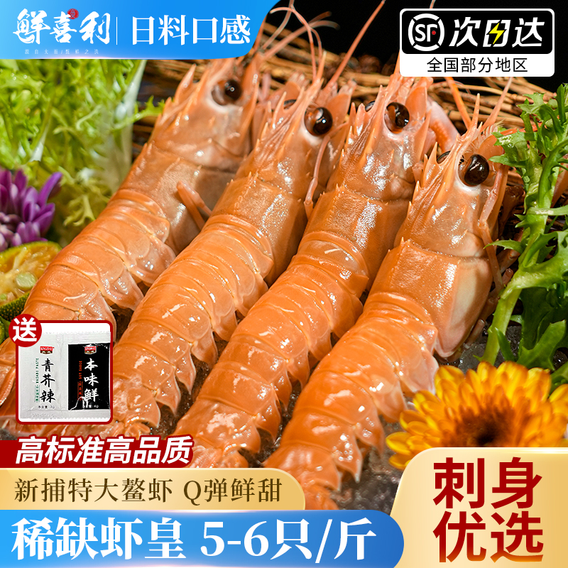【特大5-6只/斤刺身虾皇】鳌虾