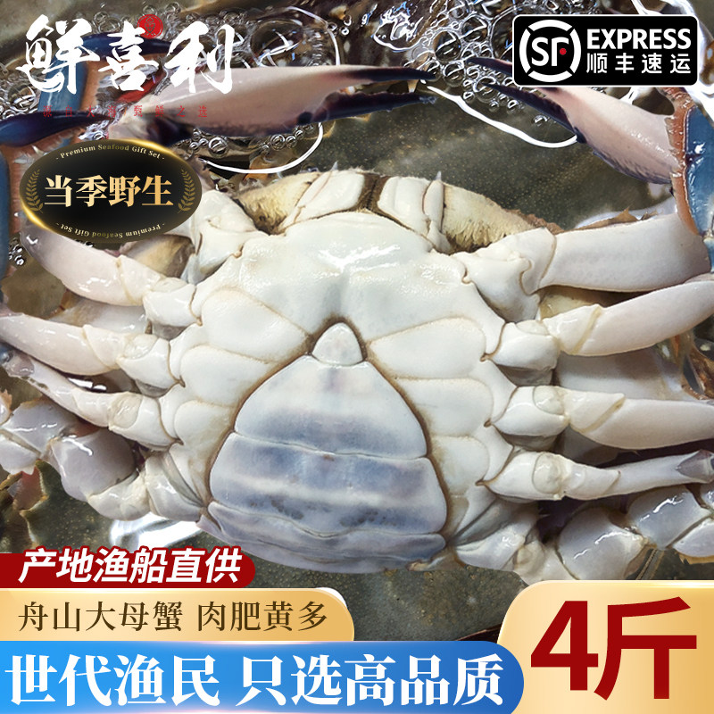梭子蟹特大母蟹野生舟山大螃蟹新鲜冷冻海蟹飞蟹肉蟹白蟹海鲜顺丰