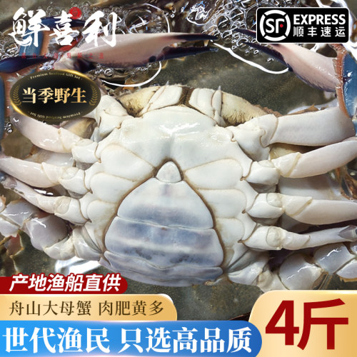 【4斤当季新捕船供】梭子蟹母蟹
