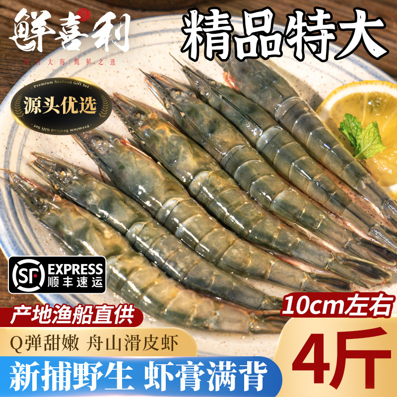 滑皮虾鲜活海虾速冻大号舟山蛎虾生鲜海鲜硬壳虾水产新鲜冻虾批发