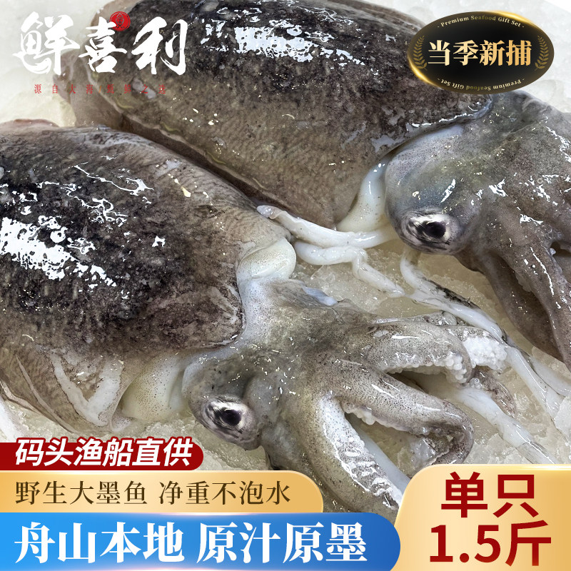 新鲜大墨鱼鲜活冷冻墨鱼仔超大生鲜水产海鲜乌贼目鱼整只舟山特产