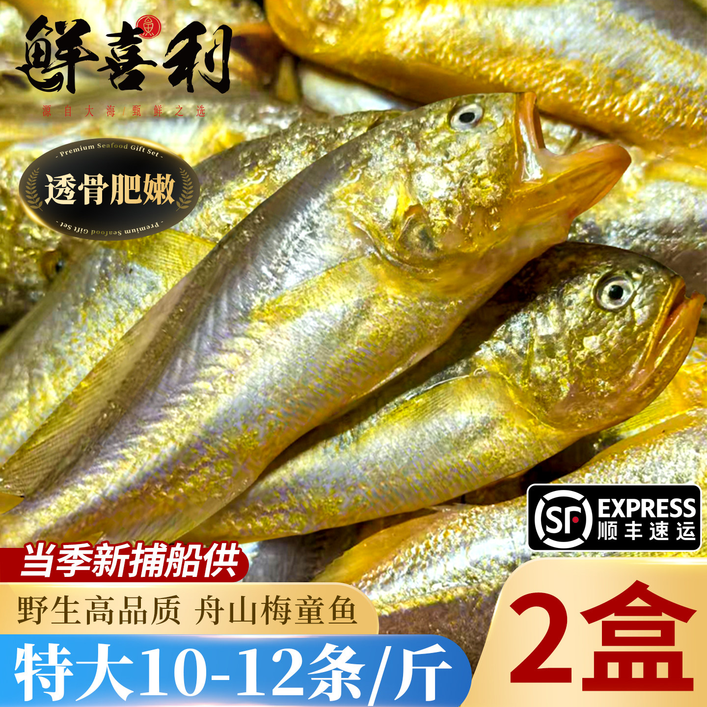 【特大10-12条/斤】舟山梅童鱼图片