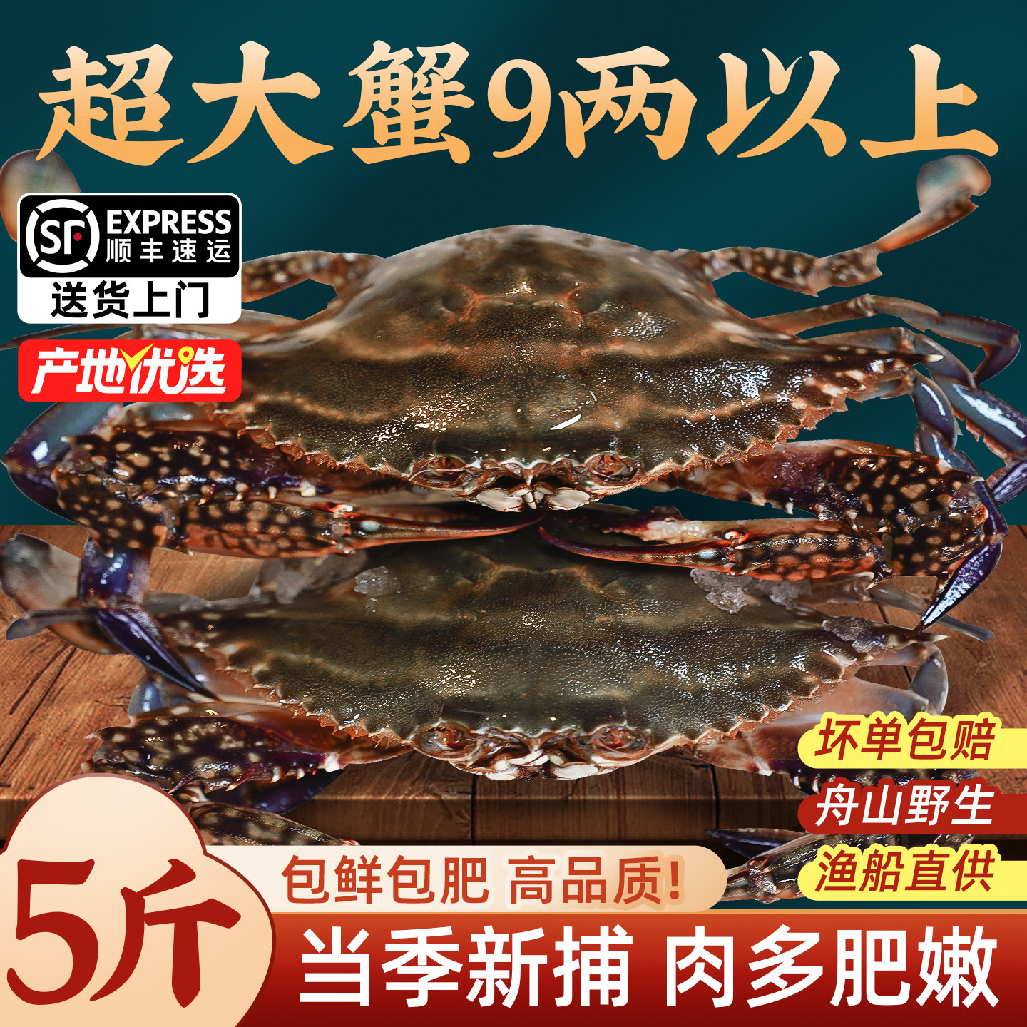 【5斤特大7-9两/只】新捕梭子蟹