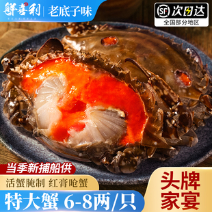 宁波醉蟹梭子蟹红膏呛蟹酱母蟹整只生腌螃蟹即食炝蟹舟山特产600g