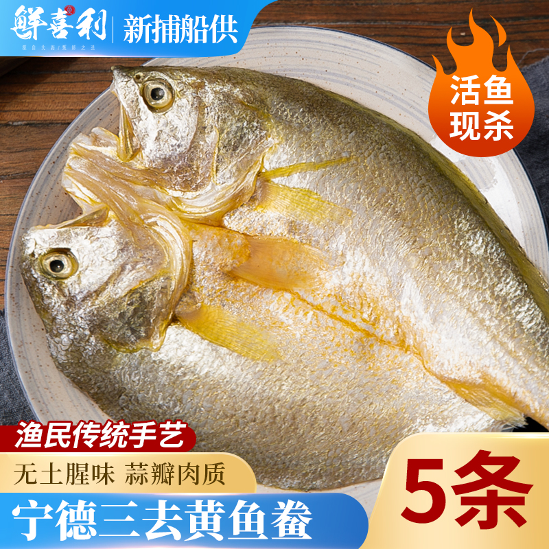 黄鱼鲞新鲜冷冻三去大黄鱼生鲜海鱼黄花鱼宁德小黄鱼鲜活海鲜商用