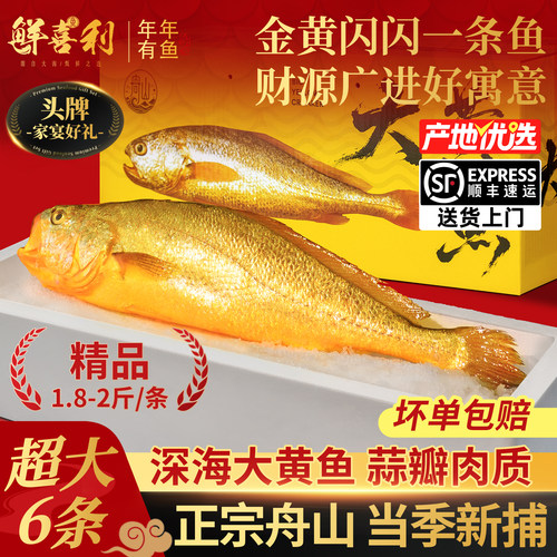 【6条超大2斤/条】新捕船供